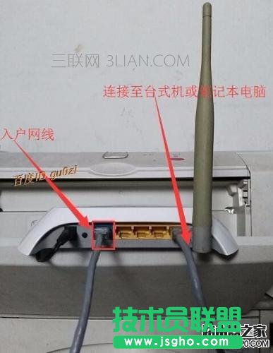 ɟo·BO(sh)  (lin)