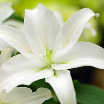 Ůʲô΢^mŮʹõ΢^_΢