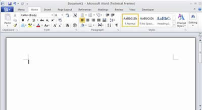Word 2010؈D