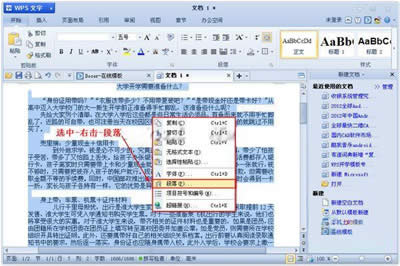 WPSжоҪO_WPS office