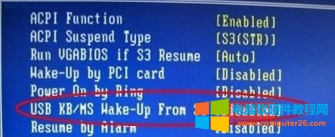 XP(gun)C(bio)߀ôP(gun)]