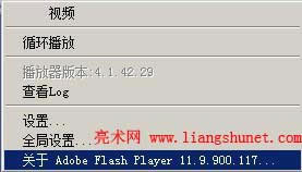I flash Ӯ flash player 汾