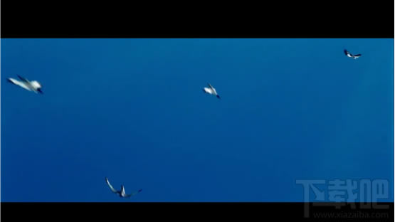 800g[ô 800֙C(j)g[ʹuy