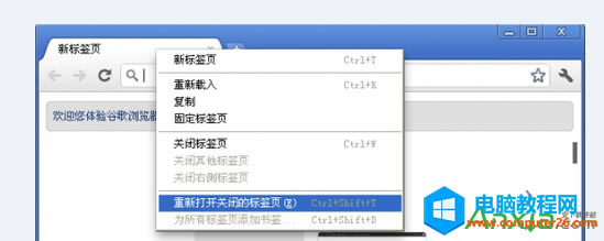 ֏(f)ChromeP(gun)]Ę(bio)(y)ķ