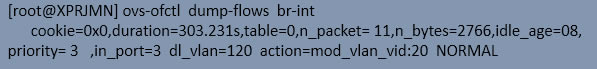 (dng)ƥr(sh)br-intό(hu)鿴local_global vlan id ӳP(gun)ϵ