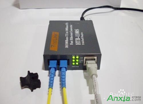 wô·FϾW,w·ôO,·ôO