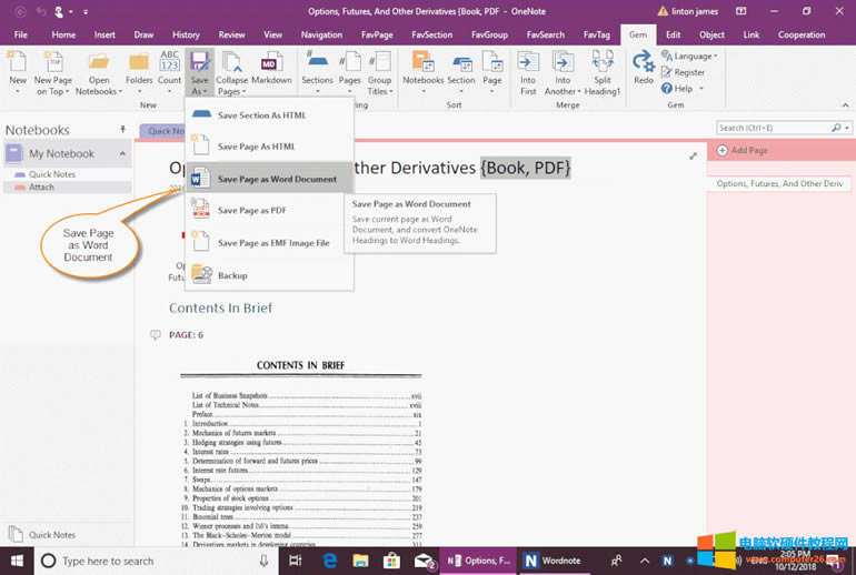 OneNote: Gem for OneNote ı Word ęn 