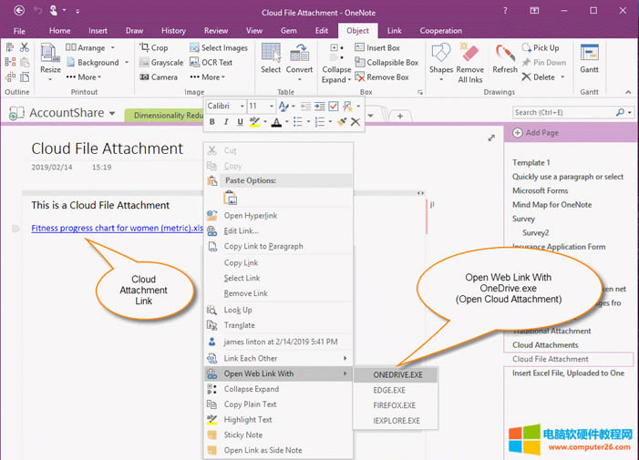  OneNote 2016, 2013, 2010 _Ƹ 