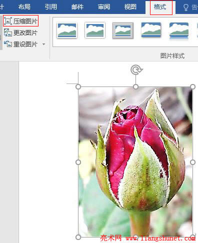 Word 2016 sDƬһcɏψDƬxУ