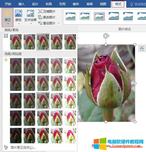 Word 2016  DƬJ/ữ/(du)ȶȣ{(dio)
