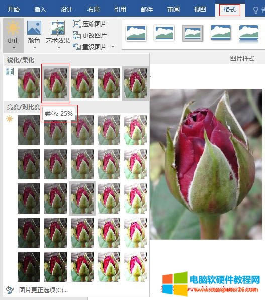 Word 2016 DƬ׃ģf(shu)ữֵ^(gu)̫