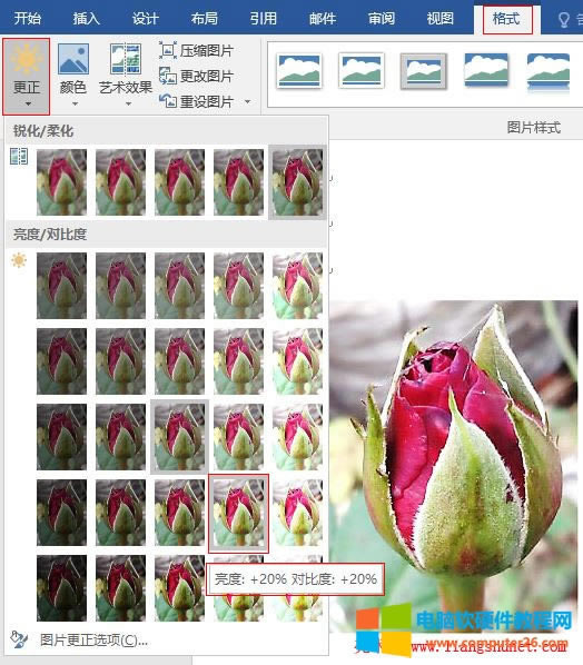 Word2016 õ廨DƬ/(du)ȶ{(dio)