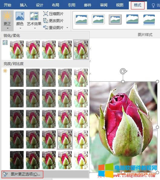 Word 2016 DƬ{(dio)֮x(sh)