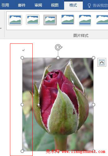 Word 2016 õ廨DƬüĲȫ߀ԭ