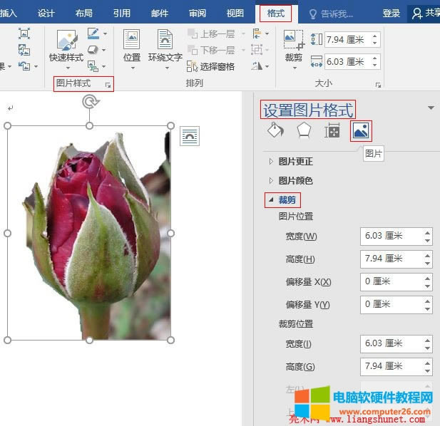 Word 2016 ֵüDƬϻɫ