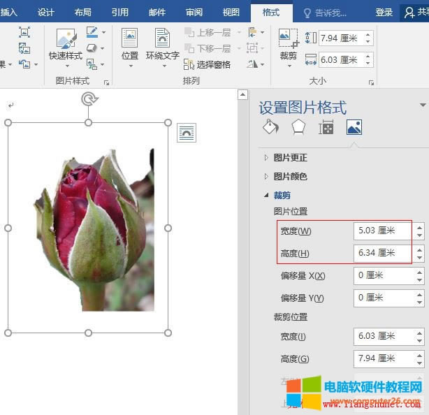 Word 2016 DƬλõĸ߶Ⱥ͌ڿsСŴDƬ