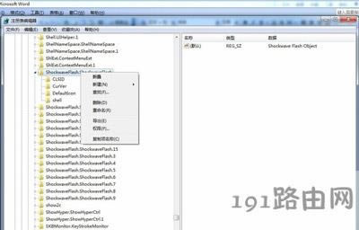 o(w)žW(wng)(y)ҕlbFlashʾo(w)ע(c)ActiveXؼĽQ