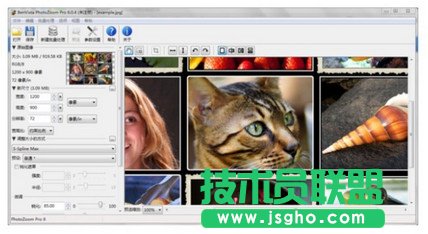 pptDƬ̫Сôk   (lin)