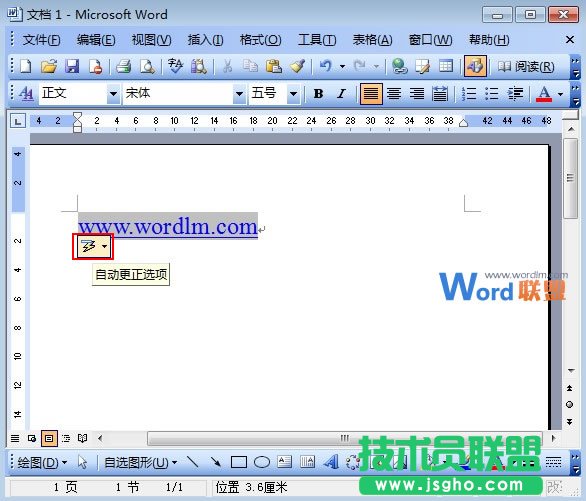 Word2003еĳ朽   