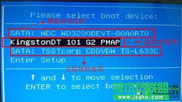 ôԃԼXip βԃԼXipַ