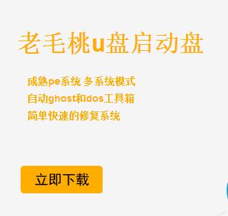 1504253623100259.png 老毛桃