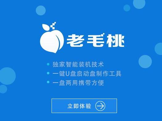 1504253807133196.png 老毛桃