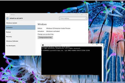 νQWin10ϵy(tng)10122o}