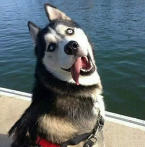 PӛXPCôk|win10PӛoPC