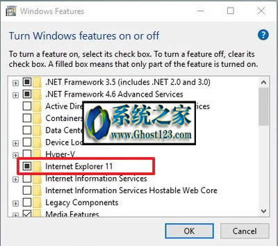 Windows10internet explorerh