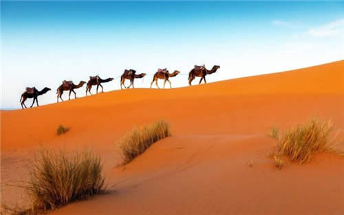 Win10ڼIn the Desertϼ