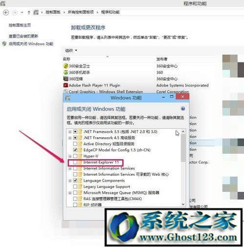Ghost WIN10IϵyôжdbIE