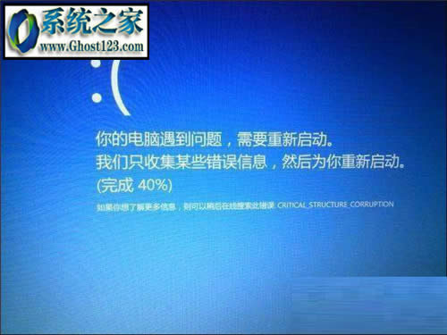 win10{acritical_structure_corruption ޏ