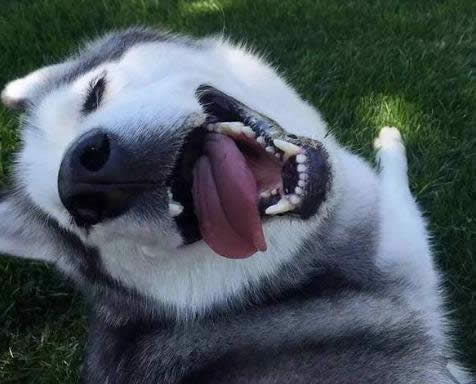 激活工具 激活工具