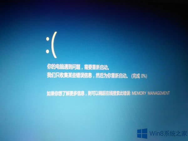 Win8.1{e`Memory Management̎