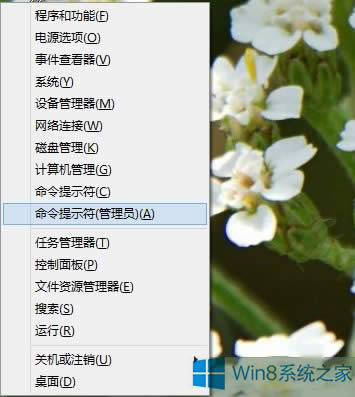 Win8.1ϵy(tng)(bio)c(din)_ʼo]з(yng)ôk