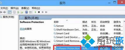 ҵsoftware prtection(w)