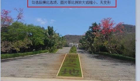 修改圖片大小 修改圖片大小