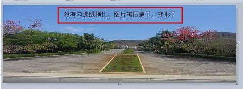 改變圖片大小 改變圖片大小