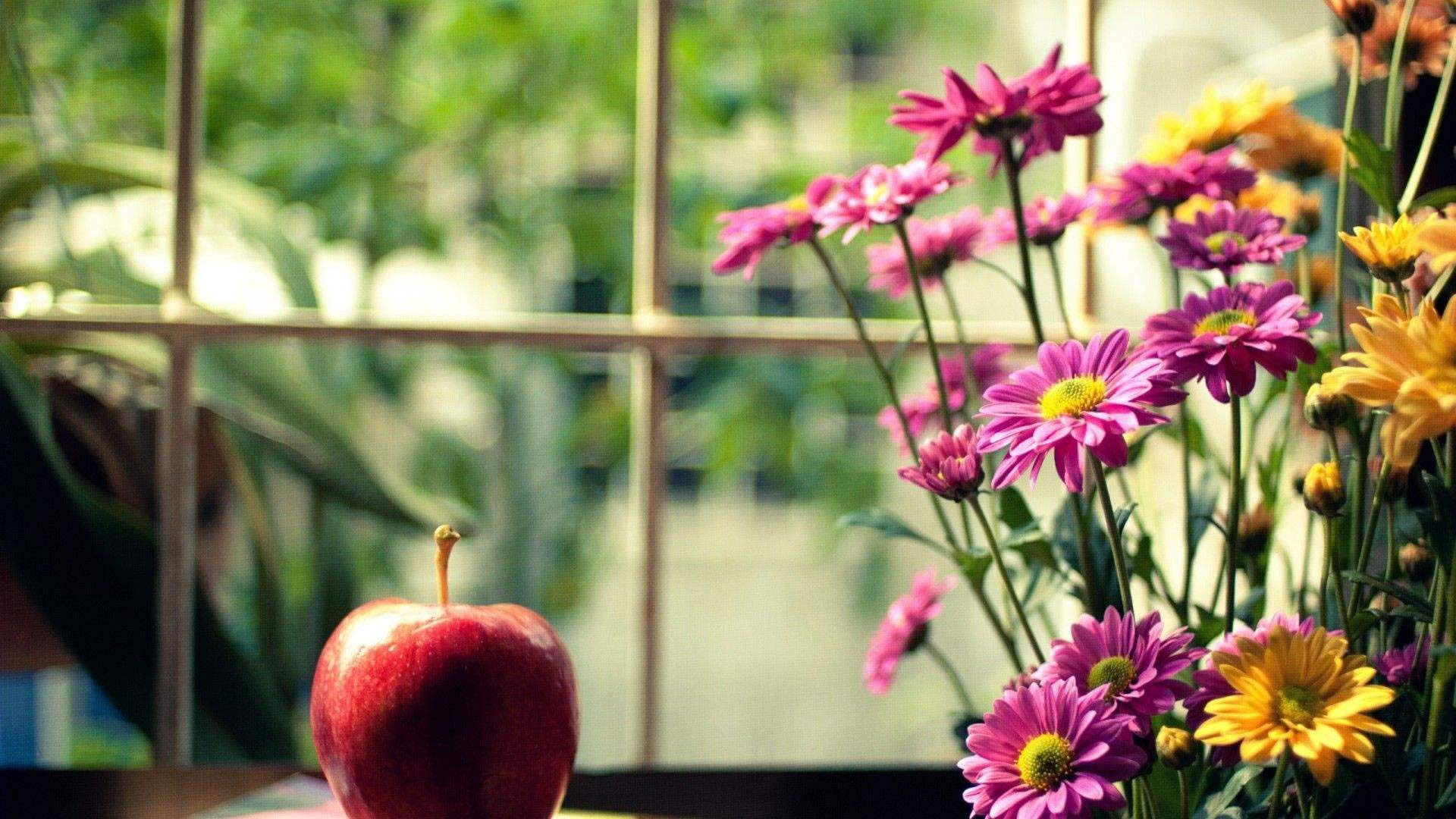 1493349339139466.jpg Ghost win7桌面壁紙