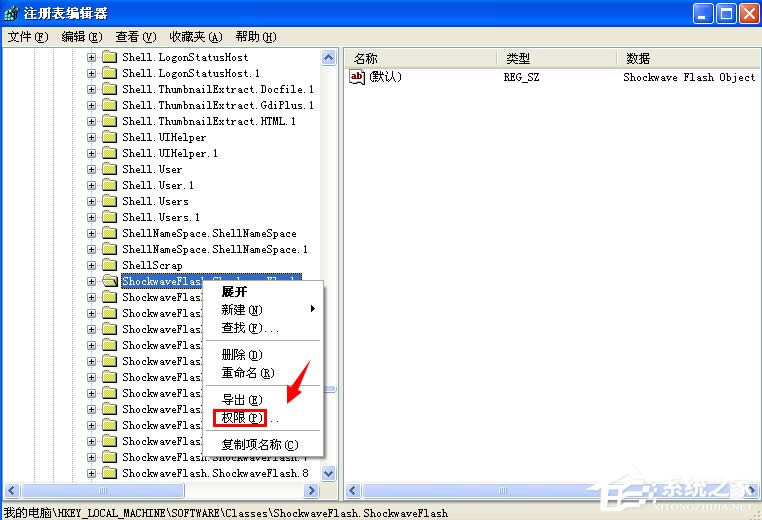 WinXPoעFlash PlayerActivexؼôk