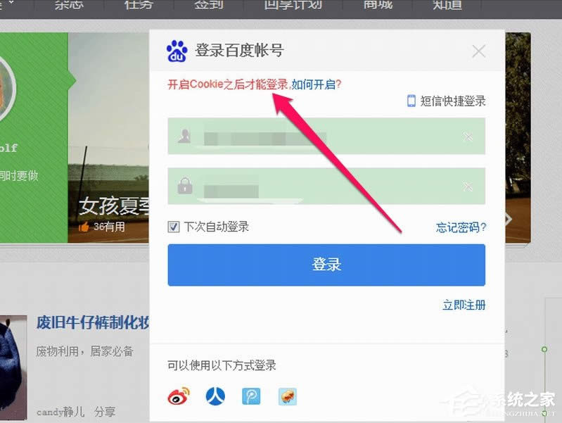 WinXPg[ʾcookiesܵôk