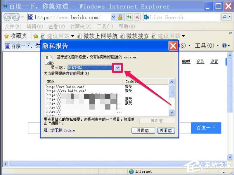 WinXPg[ʾcookiesܵôk