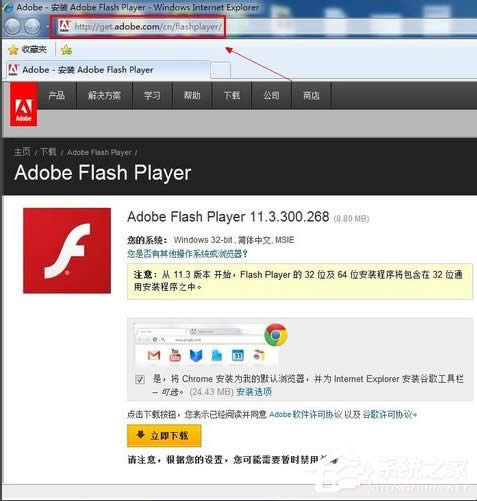 WinXPϵyFlash Playerbe`ôk