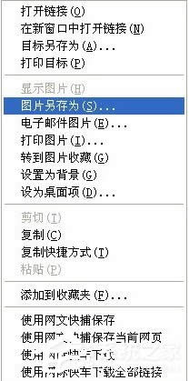 WinXPαW(wng)(y)DƬW(wng)(y)DƬԔ(x)