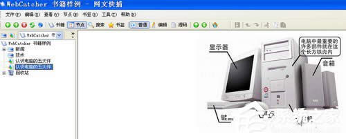 WinXPαW(wng)(y)DƬW(wng)(y)DƬԔ(x)