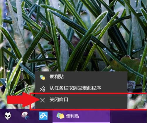 Win10㺞NNδ_ʹ÷B